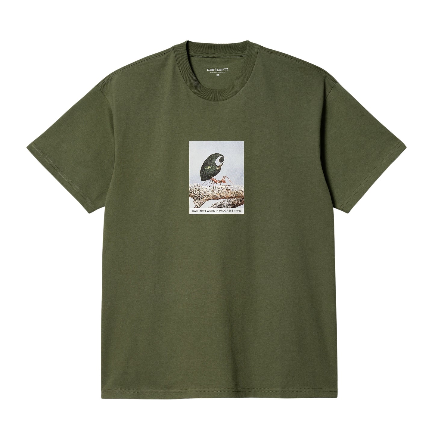 Carhartt WIP S/S Antleaf T-Shirt-Dollar-green